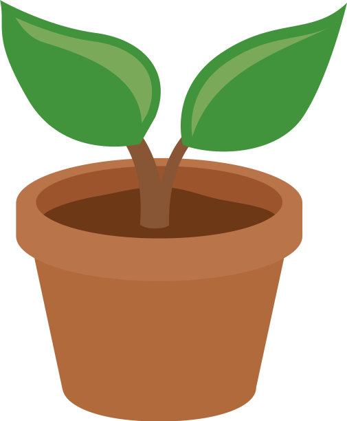 简单的盆栽植物图片下载