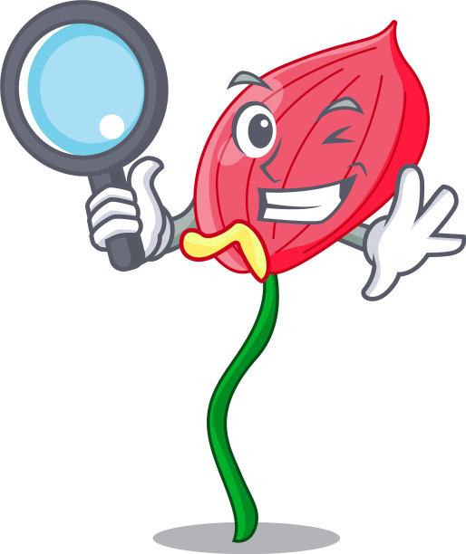 吉祥物上分离出粉红色的红掌花图片下载