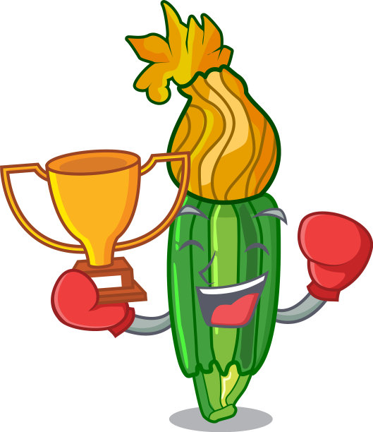 拳击冠军花西葫芦南瓜装饰上图片下载