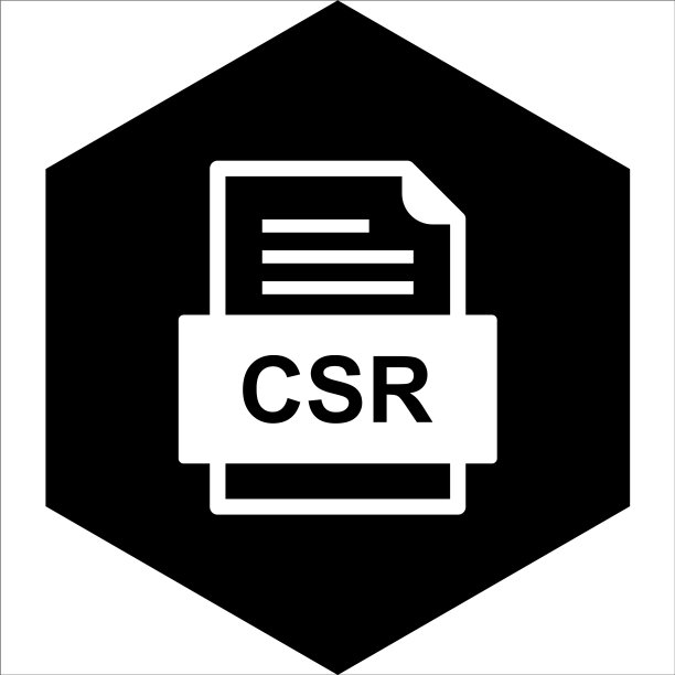 CSR文件文档图标图片下载