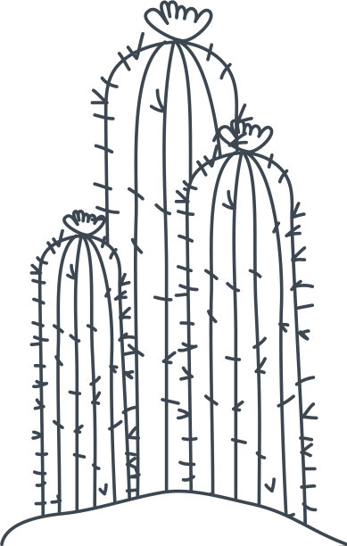 仙人掌在景观孤立图标图片下载