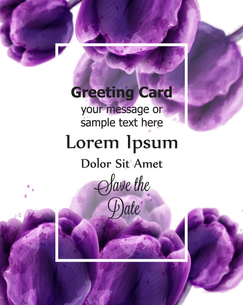 紫色郁金香花卡水彩图片下载