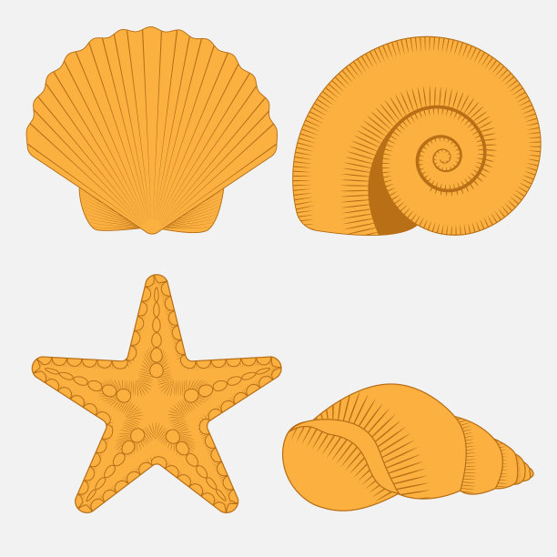 海贝海星收集动物形象图片下载