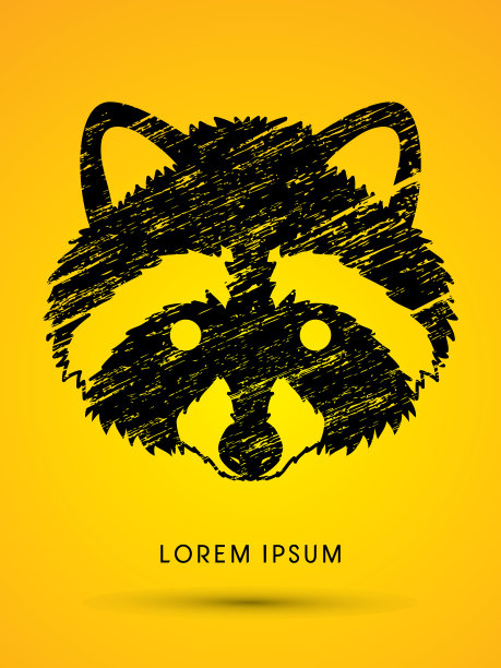 浣熊的脸图片下载