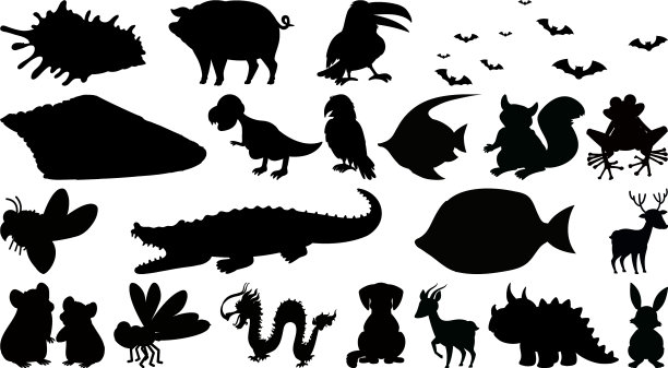 设置轮廓字符图片下载