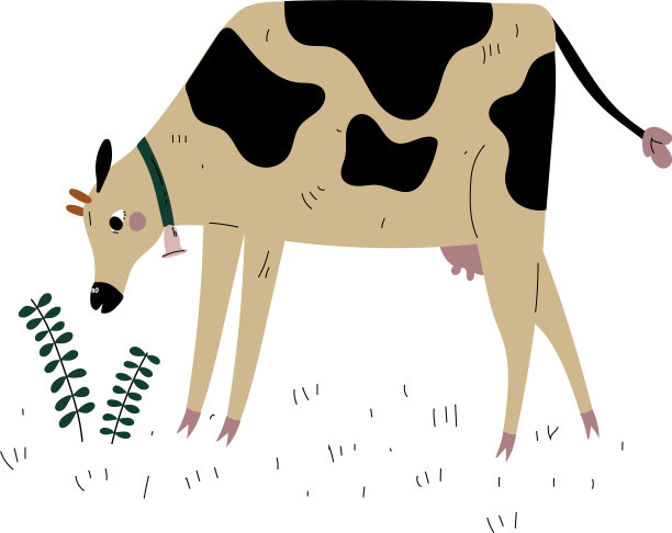 斑点奶牛在草地上吃草图片下载