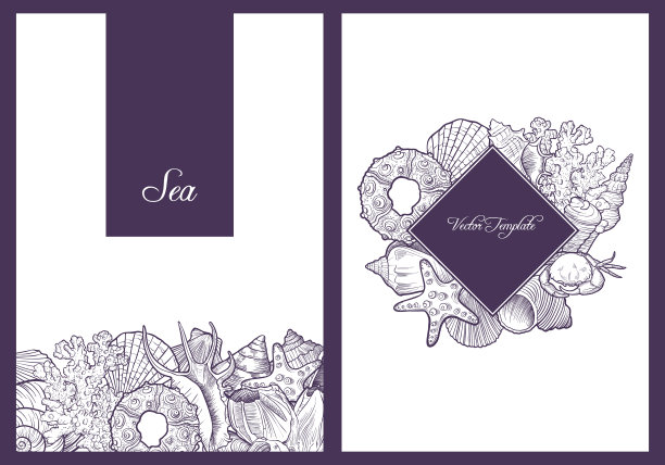 背景与贝壳图片下载