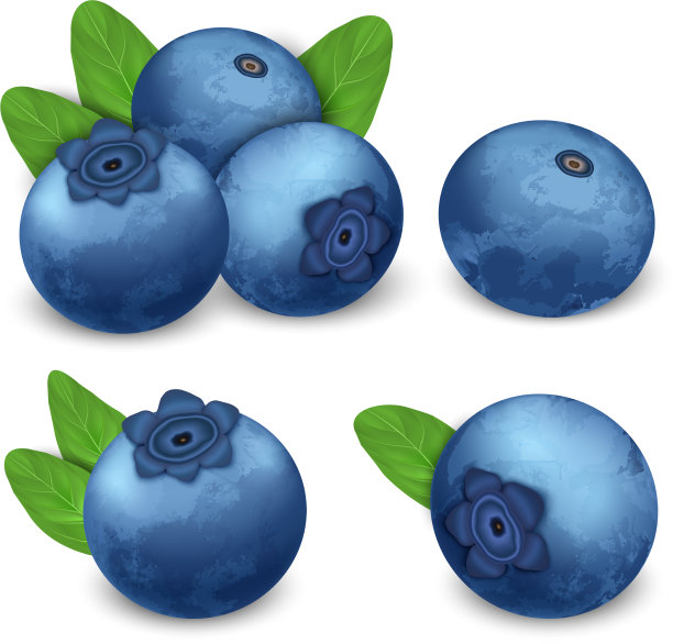 越桔图标设置现实主义风格图片下载