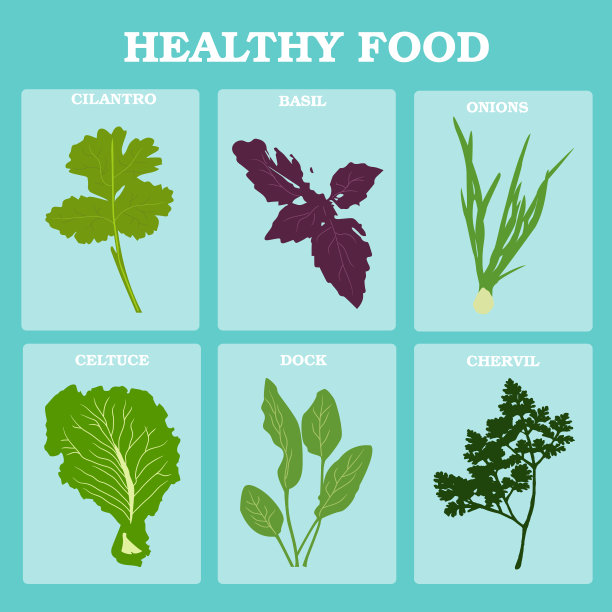 把蔬菜和香草放在健康的素食中图片下载