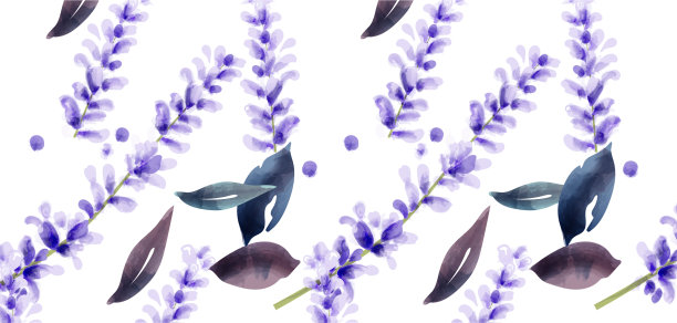 薰衣草水彩图案精致图片下载