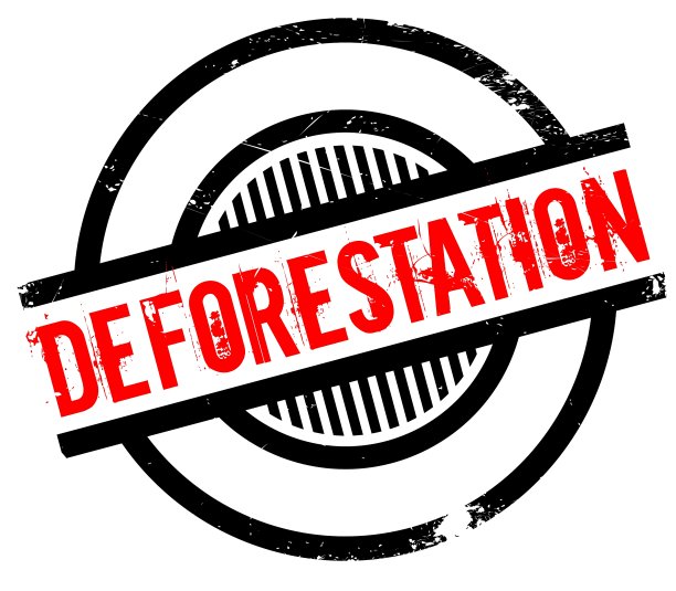 森林砍伐橡皮图章图片下载