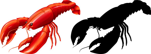 生蚝套装图片下载