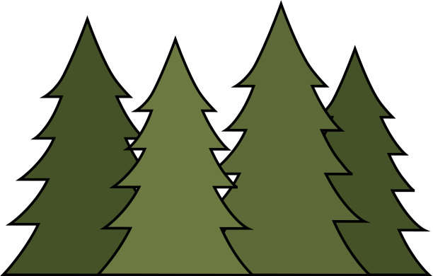 松树森林景色图片下载