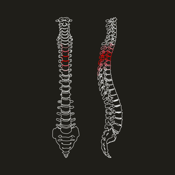 白色剪影人的脊柱在黑色图片下载