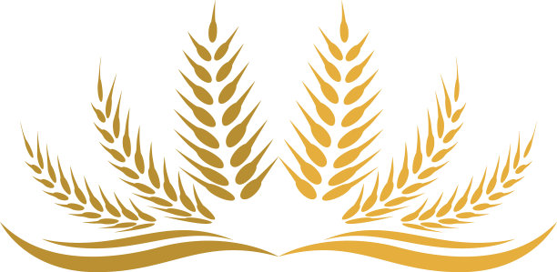 小麦图标图片下载