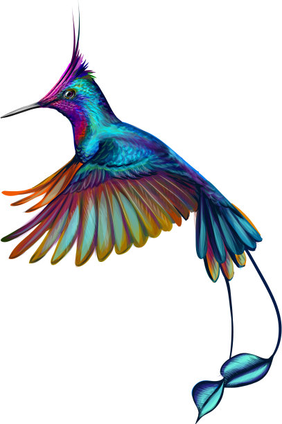 蜂鸟从水彩画的飞溅之手图片下载