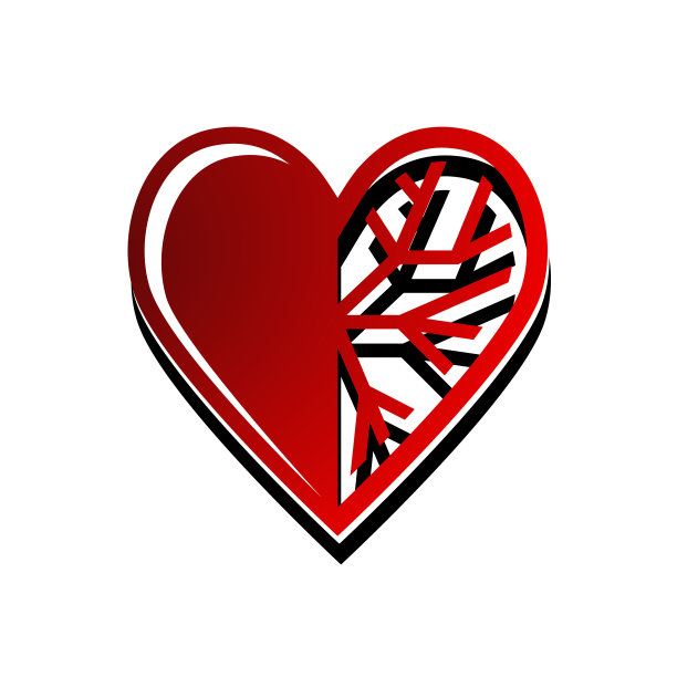 心脏和血管图片下载