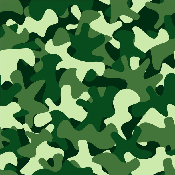 迷彩图案背景的经典服装图片下载