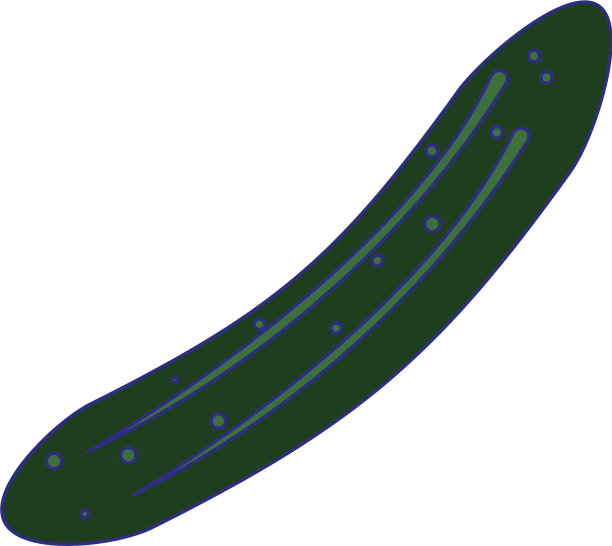 黄瓜蔬菜鲜食品蓝线图片下载