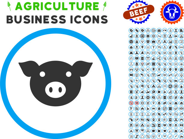 猪头圆形图标与设置图片下载