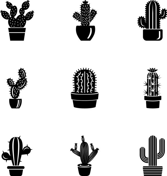 仙人球图标设置简单的风格图片下载