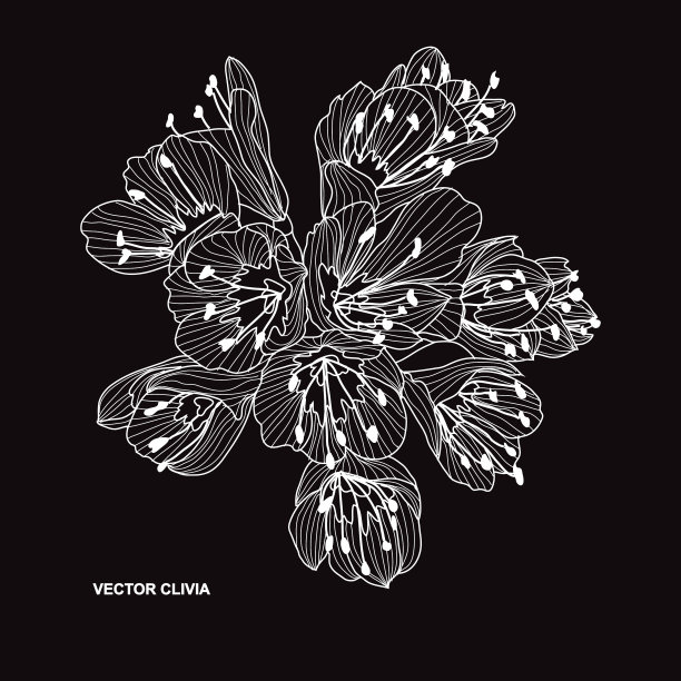 手绘花卉装饰图片下载