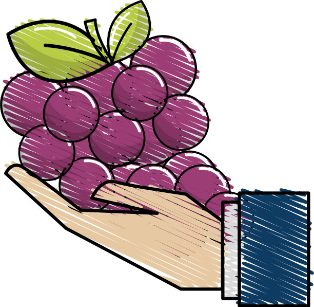 有机葡萄水果在手上的图标图片下载