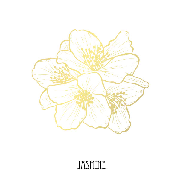 金色的花装饰图片下载