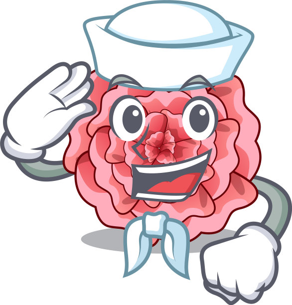 水手康乃馨在一个人物壶图片下载
