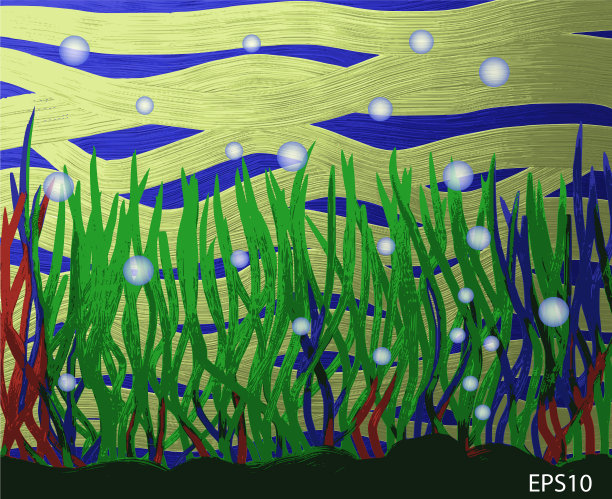 水下世界五彩缤纷的海藻和气泡图片下载