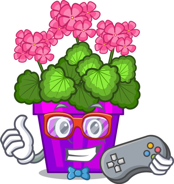 玩家在卡通花盆中的天竺葵花图片下载