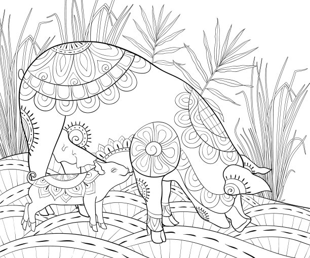 成人涂色书为猪的家庭形象图片下载