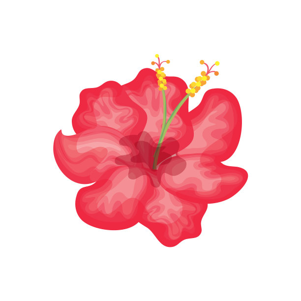 热带花卉装饰卡图片下载