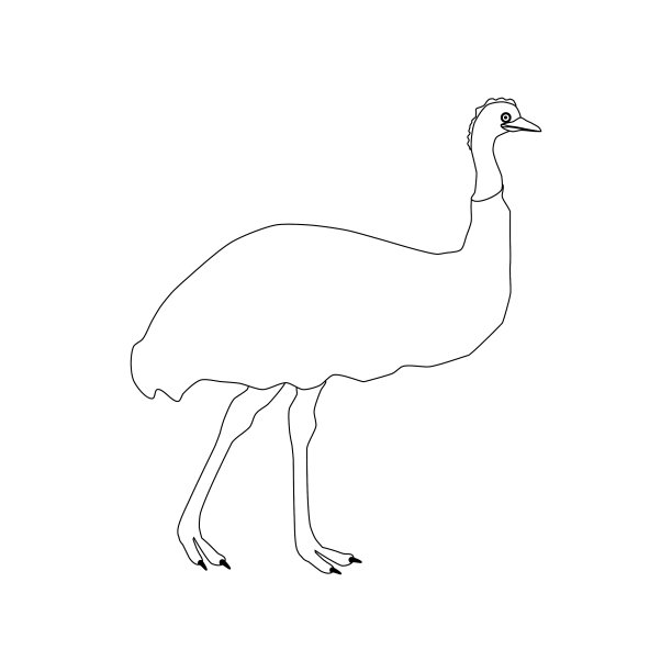 鸵鸟emu大纲图片下载