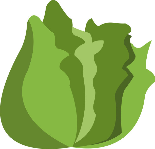 健康的蔬菜设计图片下载