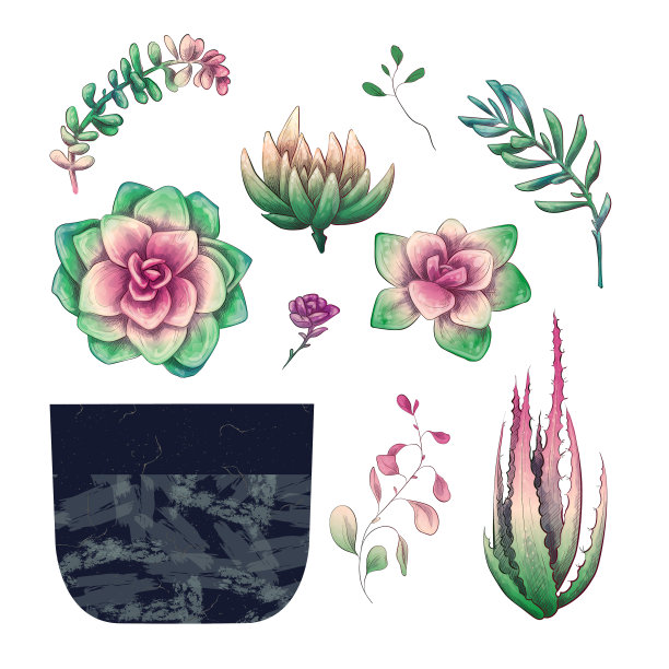 盆栽仙人掌和多肉植物徽章图片下载