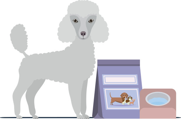 狗与碗和宠物食品在白色的背景图片下载