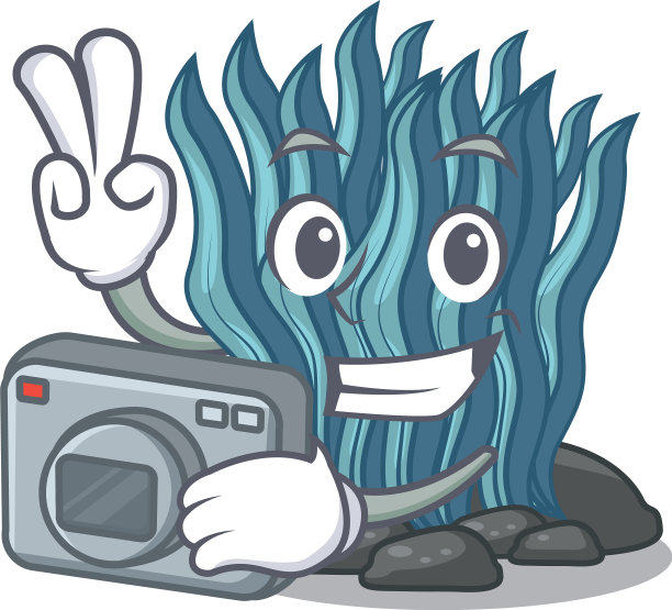 摄影师蓝色海藻卡通水下图片下载