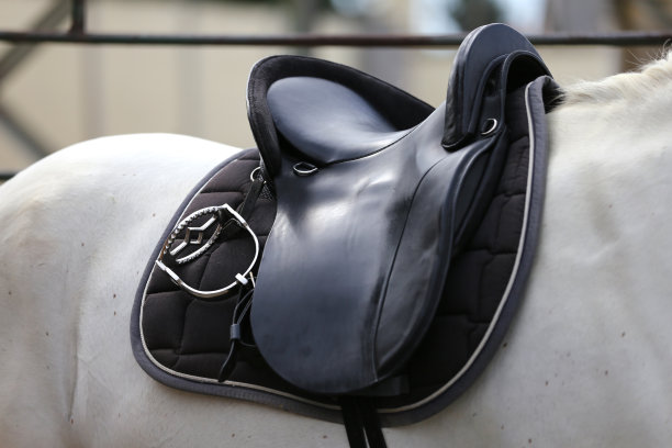 照片的运动马在盛装舞步比赛在马鞍下图片下载