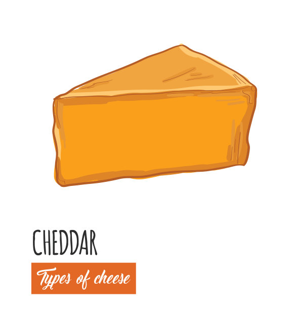手绘彩色切达干酪图片下载