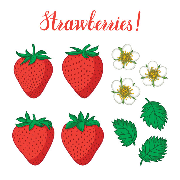 与草莓花和叶子隔离图片下载