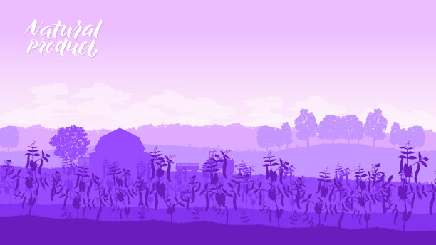 为蔬菜园艺宣传册卡片的苗床图片下载