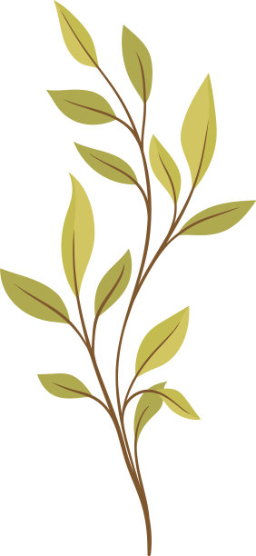 自然植物和乔灌木植物的概念图片下载