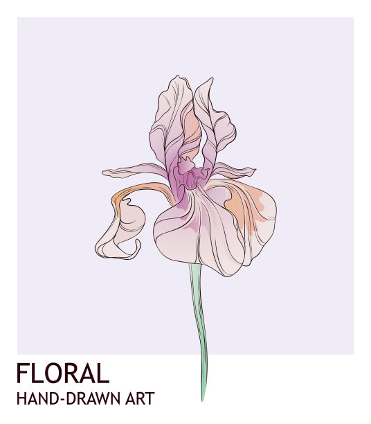 鸢尾花创意手绘水彩图片下载