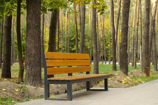 公园，长凳，秋天，背景，道路，树，图片下载