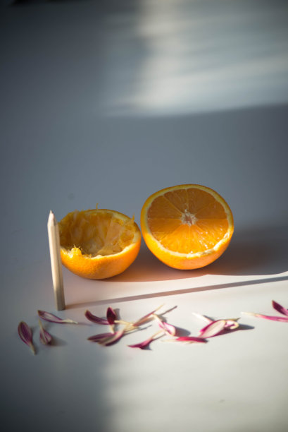 橙色壳图片下载