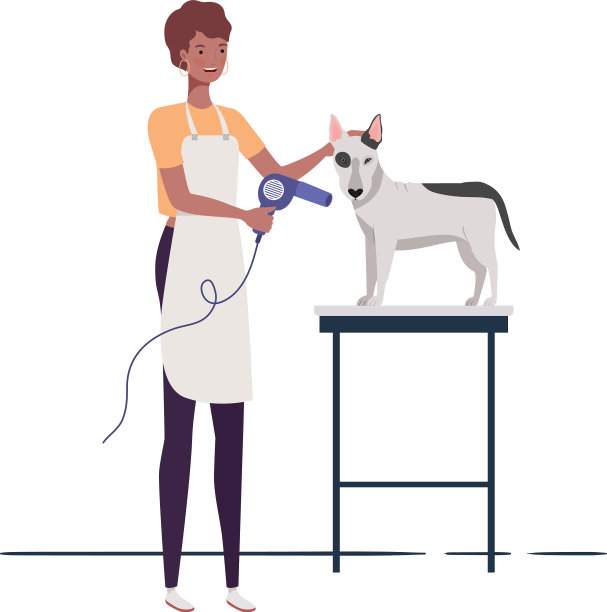 年轻女子与狗在宠物美容图片下载