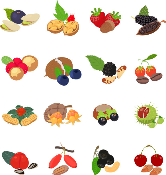 森林食物图标设置等距风格图片下载