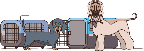 狗和宠物运输箱在白色的背景图片下载