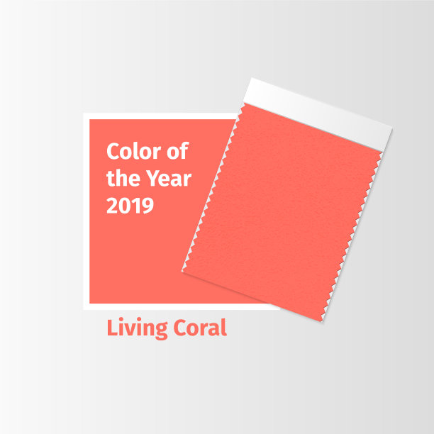 布料样品，纺织品样品模板图片下载